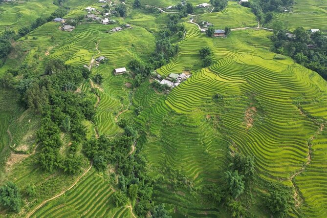 Viet Nam Package Tours - Adventure Indochina Travel - Day 5 to Da Nang: flight day, then free time